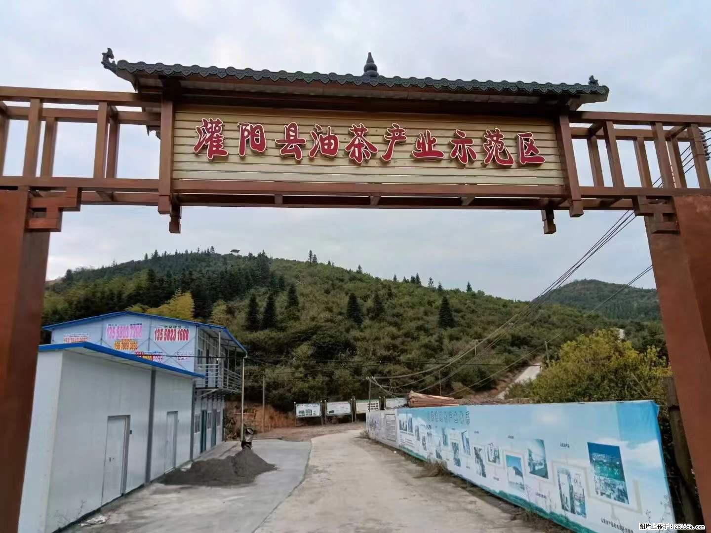 【灌阳县油茶产业示范区】一个有着充实的精神生活的人，对待身外之物自会有一种淡泊的态度 - 美食天地 - 甘孜生活社区 - 甘孜28生活网 ganzi.28life.com