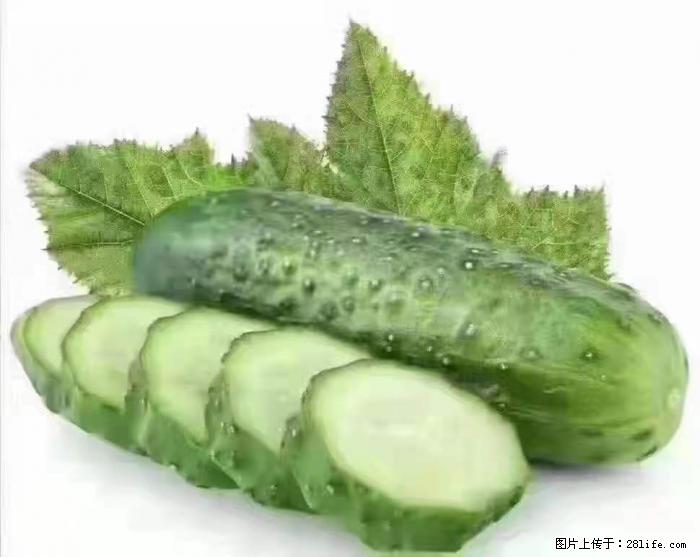 【生活小常识】吃黄瓜的好处 - 生活百科 - 甘孜生活社区 - 甘孜28生活网 ganzi.28life.com