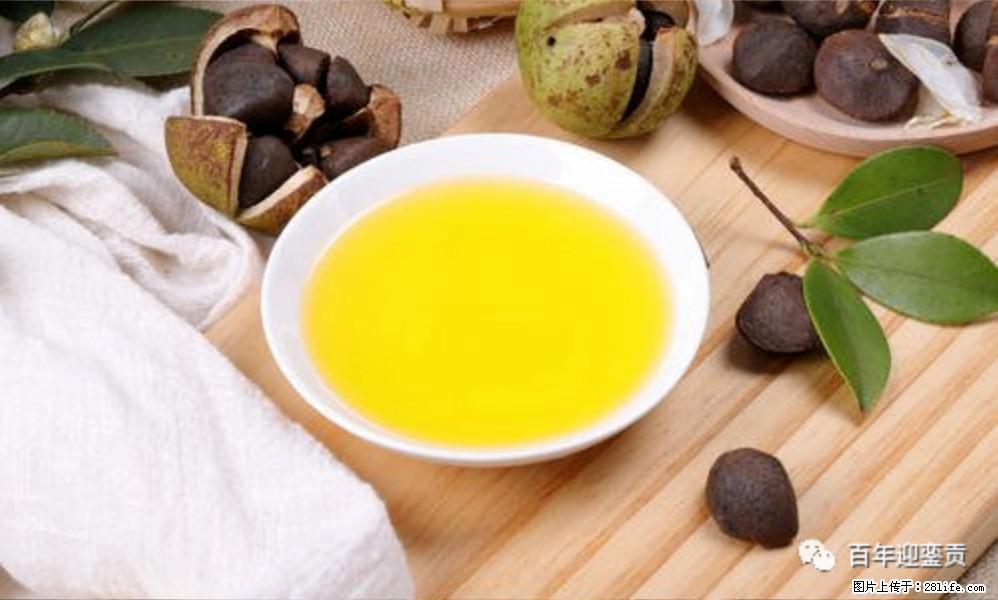 揭秘茶油的5大核心营养成分！被称为人体健康的“守护盾”！ - 甘孜生活资讯 - 甘孜28生活网 ganzi.28life.com