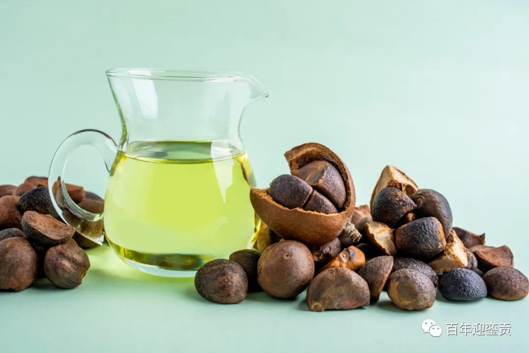 世界没有真相，只有认知，最好的食用油是中国的山茶油！ - 甘孜生活资讯 - 甘孜28生活网 ganzi.28life.com