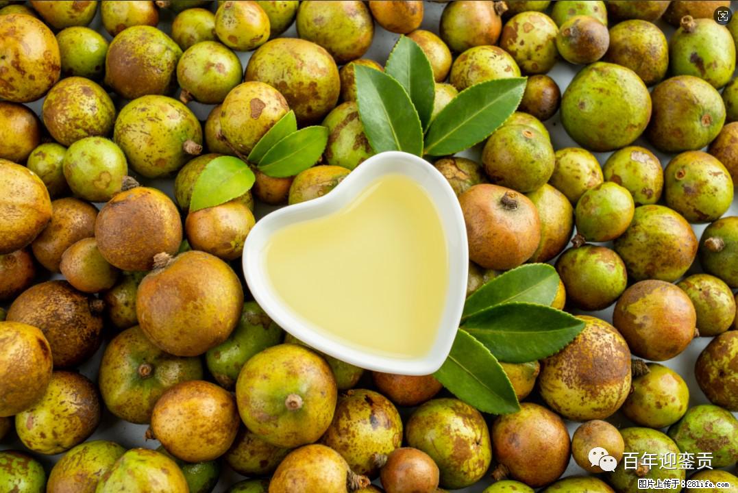 世界没有真相，只有认知，最好的食用油是中国的山茶油！ - 甘孜生活资讯 - 甘孜28生活网 ganzi.28life.com