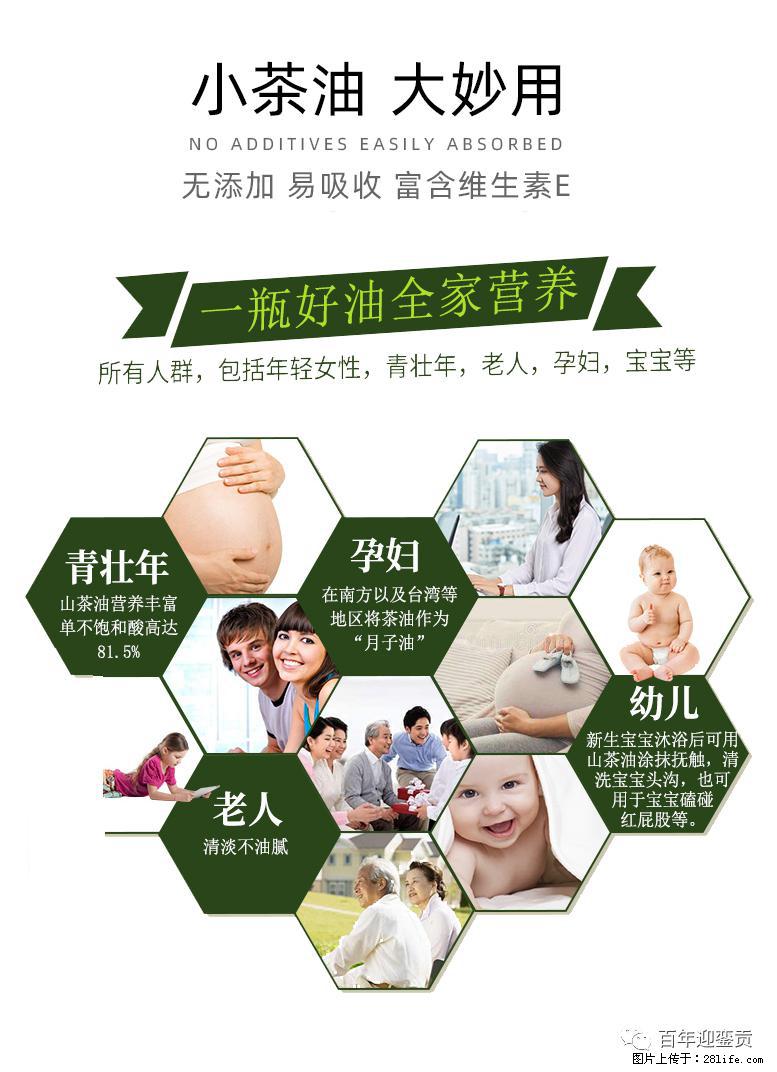 世界没有真相，只有认知，最好的食用油是中国的山茶油！ - 甘孜生活资讯 - 甘孜28生活网 ganzi.28life.com