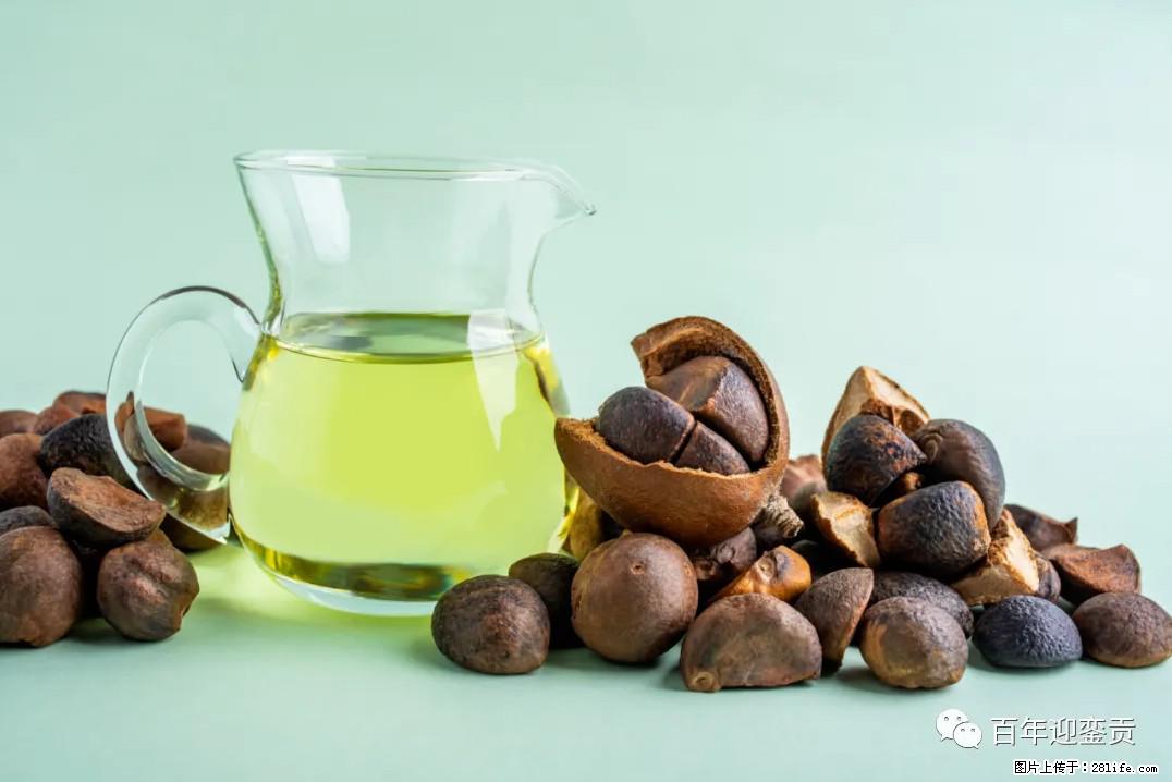 世界没有真相，只有认知，最好的食用油是中国的山茶油！ - 甘孜生活资讯 - 甘孜28生活网 ganzi.28life.com