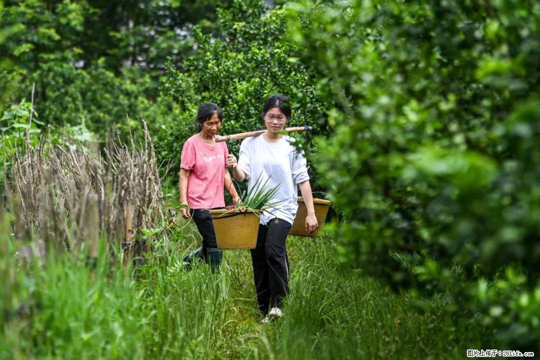 全网追的“扁担女孩”，找了一份暑假工，时薪12元 - 甘孜生活资讯 - 甘孜28生活网 ganzi.28life.com