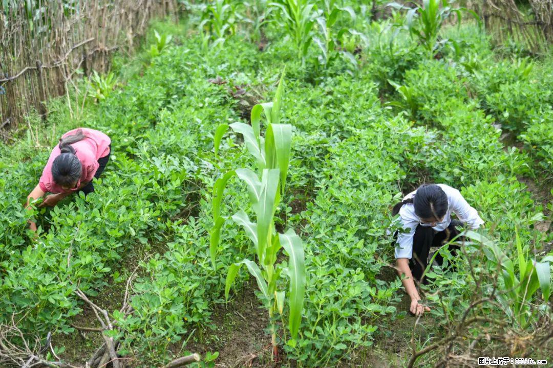 全网追的“扁担女孩”，找了一份暑假工，时薪12元 - 甘孜生活资讯 - 甘孜28生活网 ganzi.28life.com