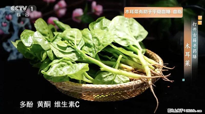 比牛奶补钙还厉害！凉血解毒、稳血糖...这菜冬天必吃，很多人却当草 - 甘孜生活资讯 - 甘孜28生活网 ganzi.28life.com
