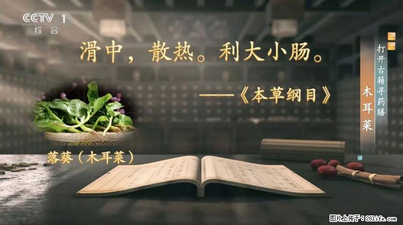 比牛奶补钙还厉害！凉血解毒、稳血糖...这菜冬天必吃，很多人却当草 - 甘孜生活资讯 - 甘孜28生活网 ganzi.28life.com