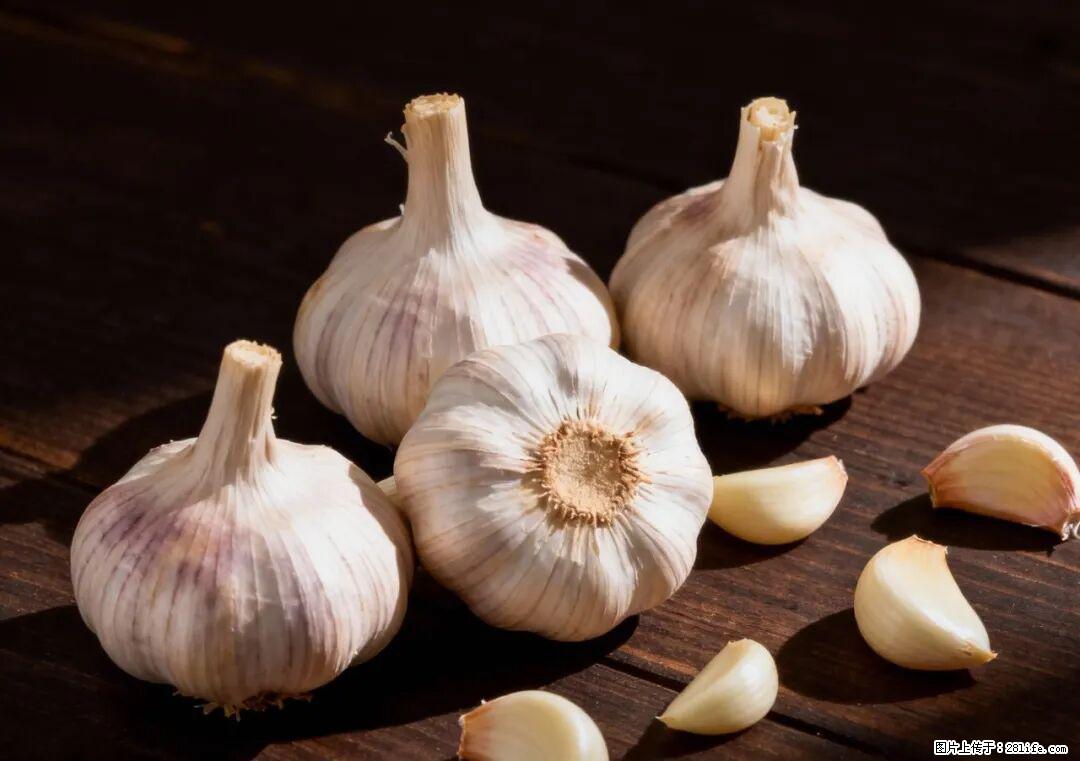 关于大蒜，除了“天然抗生素”，这4个谣言更该警惕! - 甘孜生活资讯 - 甘孜28生活网 ganzi.28life.com