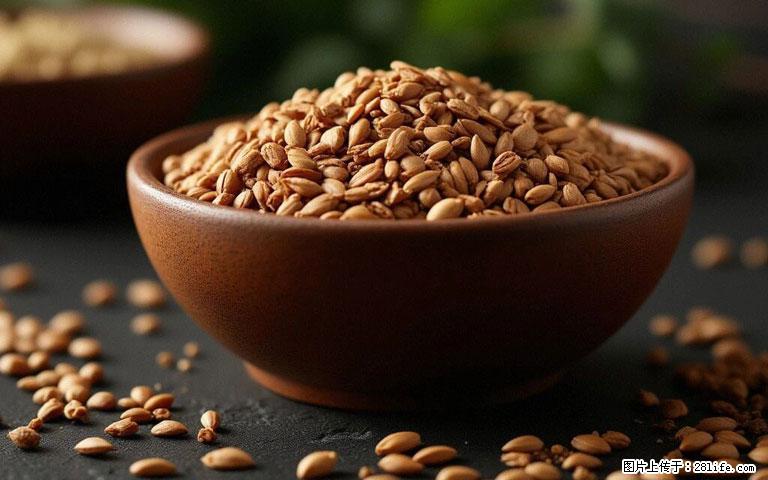 这三苦是三高“克星”，心血管干净不易堵！每天吃一点，指标慢慢降下来~ - 甘孜生活资讯 - 甘孜28生活网 ganzi.28life.com